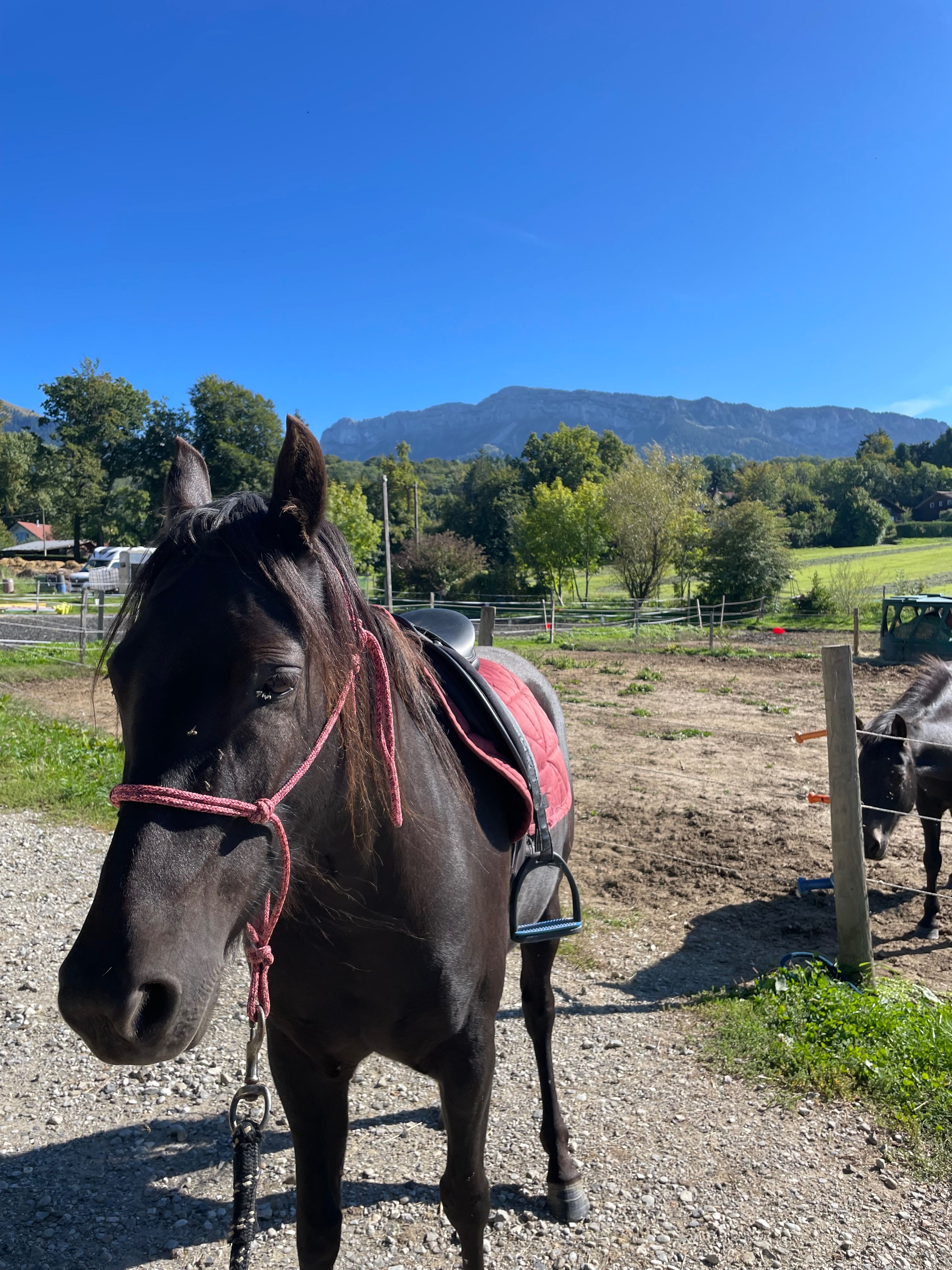 blockValue.c7ae8ab5-2bad-400b-8678-e0a314ea3c35.img_alt