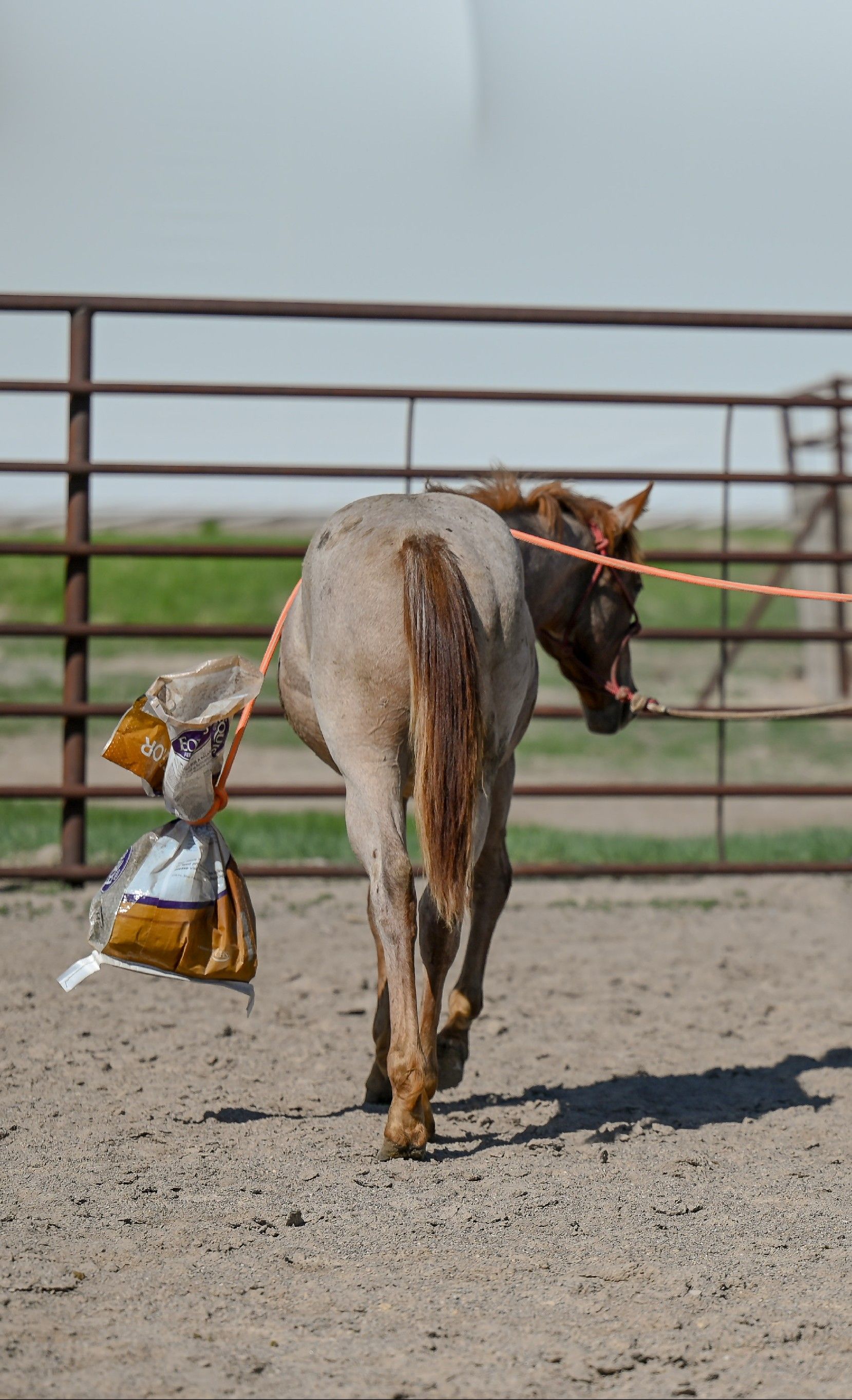 blockValue.1ce3fd3a-b9e1-46c1-a94c-3dbc8e25077a.card.3.img_alt