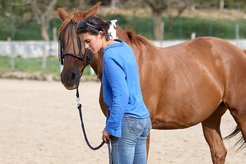 Image de Quand le quotidien avec son cheval devient compliqué